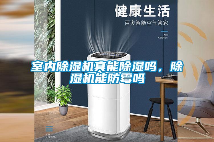 室内草莓视频APP在线观看真能除湿吗，草莓视频APP在线观看能防霉吗