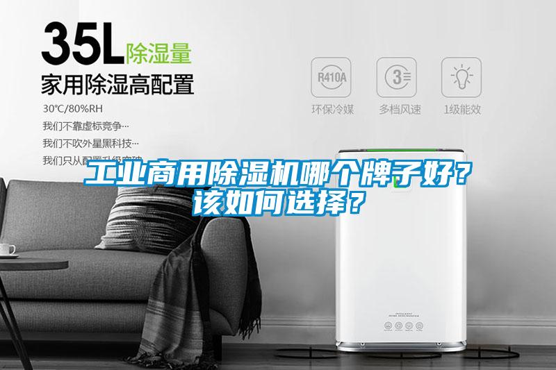 工业商用草莓视频APP在线观看哪个牌子好？该如何选择？