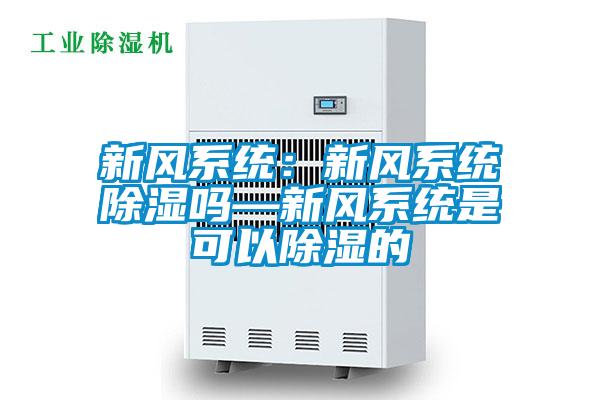 新风系统：新风系统除湿吗—新风系统是可以除湿的
