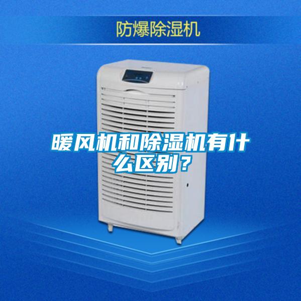 暖风机和草莓视频APP在线观看有什么区别？