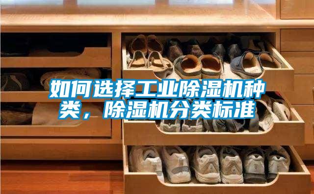 如何选择工业草莓视频APP在线观看种类，草莓视频APP在线观看分类标准