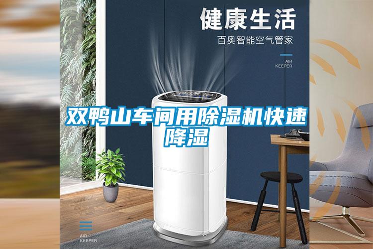 双鸭山车间用草莓视频APP在线观看快速降湿