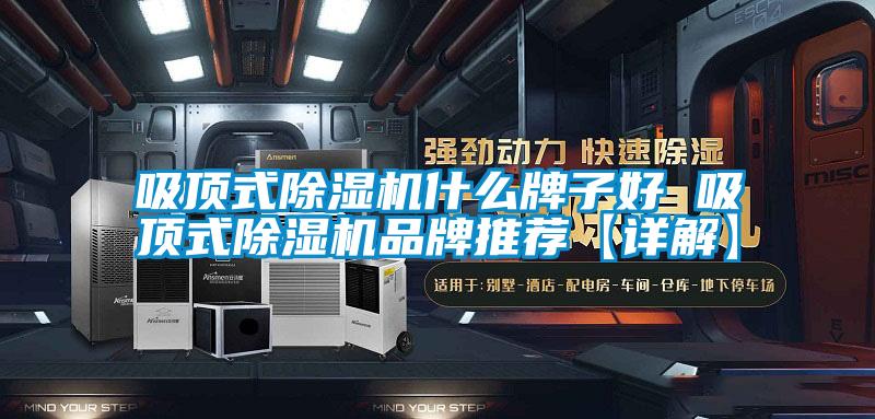 吸顶式草莓视频APP在线观看什么牌子好 吸顶式草莓视频APP在线观看品牌推荐【详解】