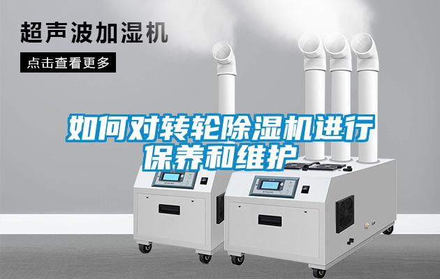 如何对转轮草莓视频APP在线观看进行保养和维护