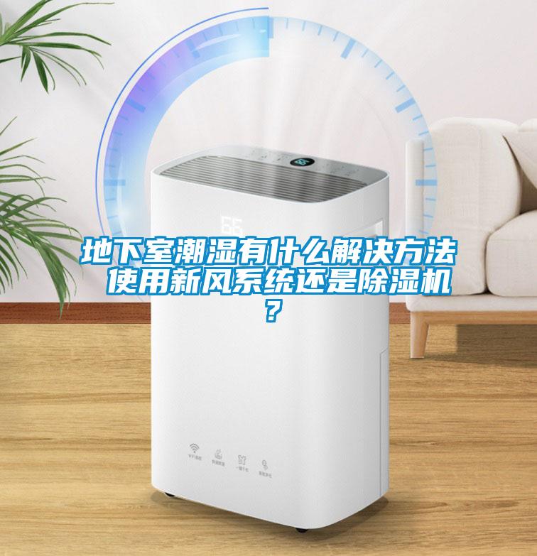 地下室潮湿有什么解决方法 使用新风系统还是草莓视频APP在线观看？