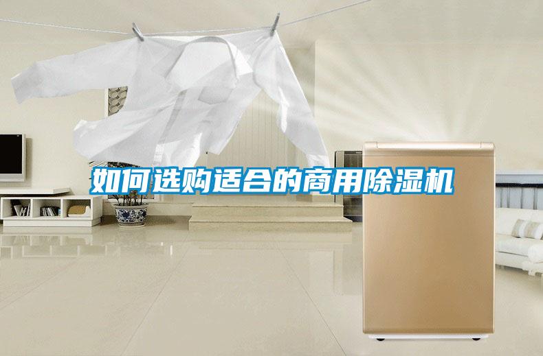 如何选购适合的商用草莓视频APP在线观看