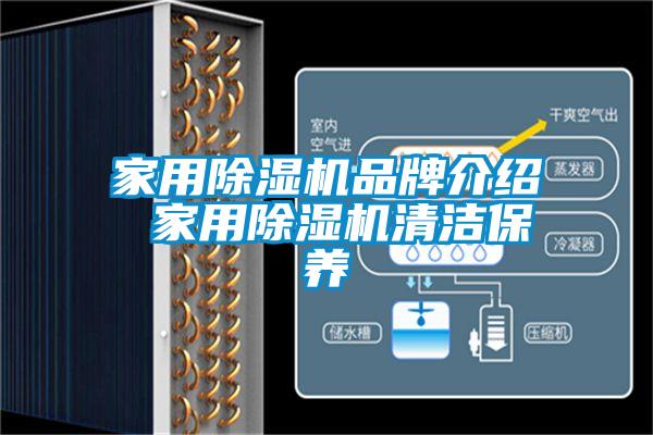 家用草莓视频APP在线观看品牌介绍 家用草莓视频APP在线观看清洁保养