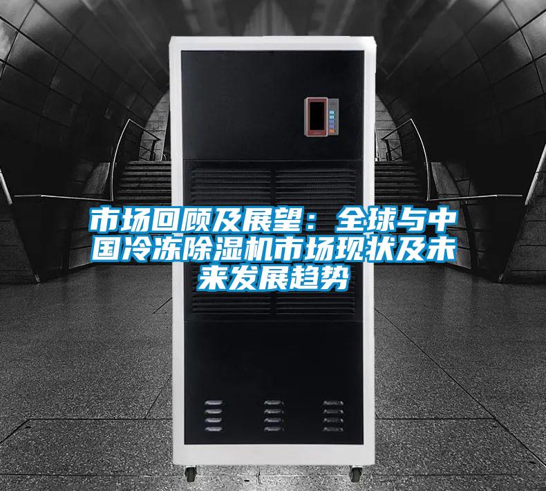 市场回顾及展望：全球与中国冷冻草莓视频APP在线观看市场现状及未来发展趋势