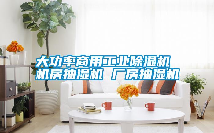大功率商用工业草莓视频APP在线观看 机房抽湿机 厂房抽湿机