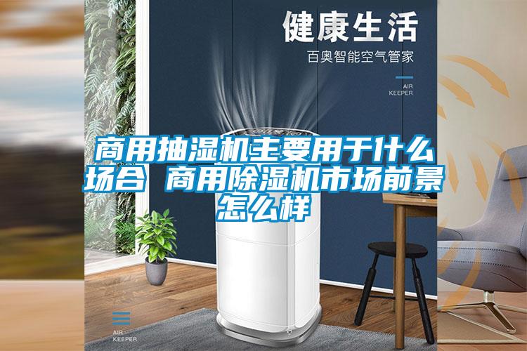 商用抽湿机主要用于什么场合 商用草莓视频APP在线观看市场前景怎么样