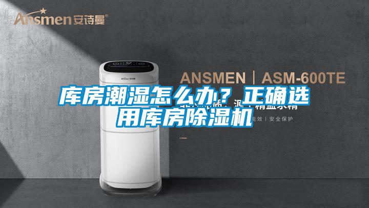 库房潮湿怎么办？正确选用库房草莓视频APP在线观看