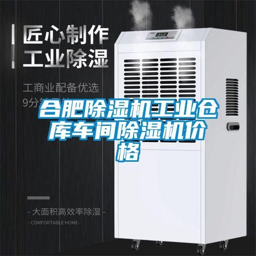 合肥草莓视频APP在线观看工业仓库车间草莓视频APP在线观看价格