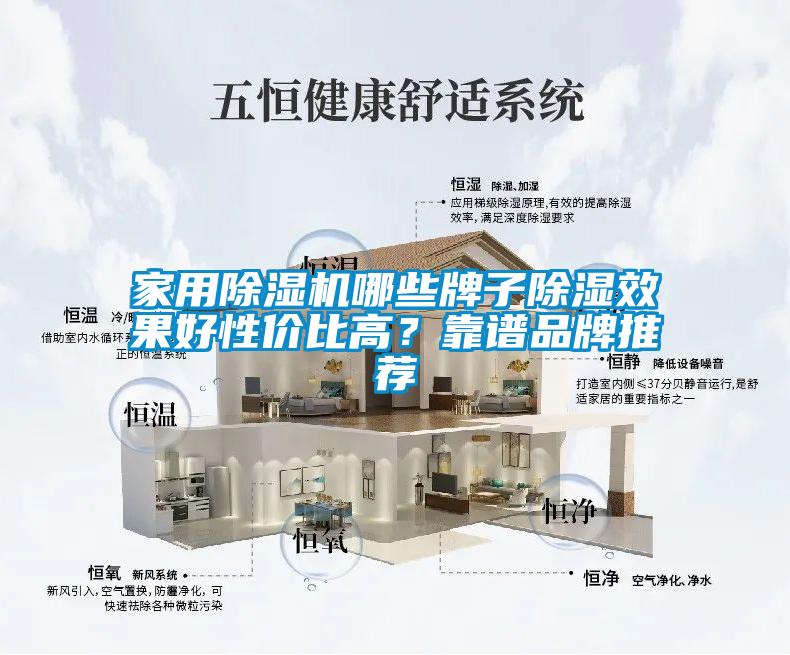 家用草莓视频APP在线观看哪些牌子除湿效果好性价比高？靠谱品牌推荐