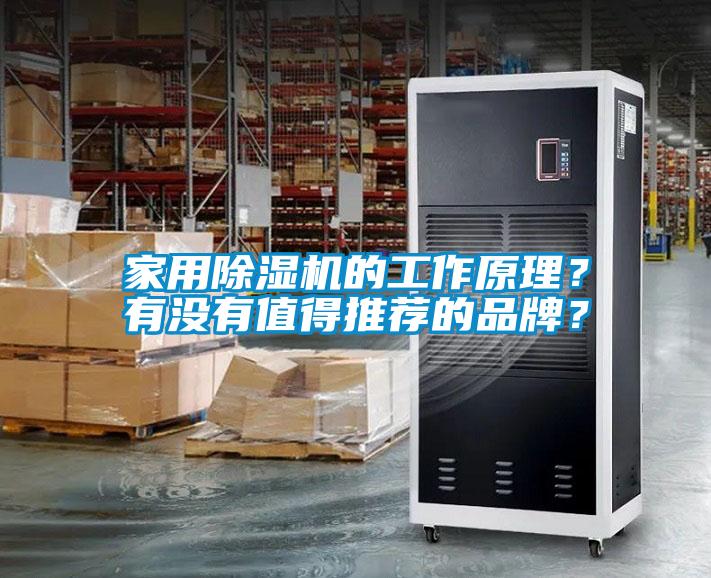 家用草莓视频APP在线观看的工作原理？有没有值得推荐的品牌？