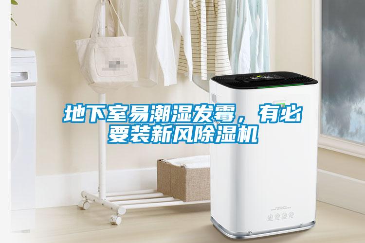地下室易潮湿发霉，有必要装新风草莓视频APP在线观看