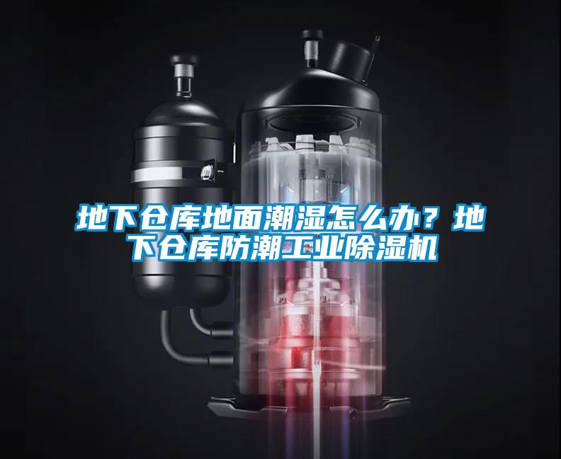 地下仓库地面潮湿怎么办？地下仓库防潮工业草莓视频APP在线观看