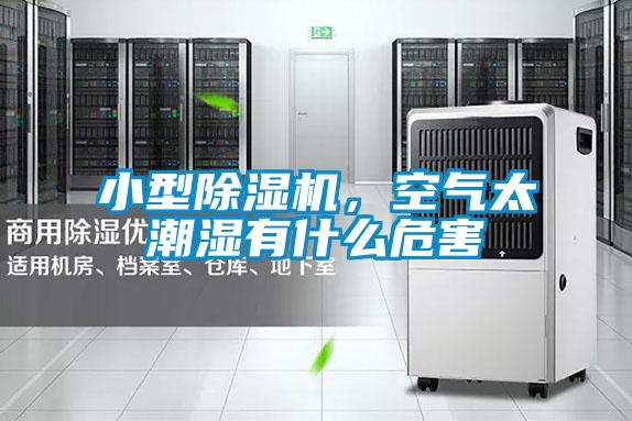 小型草莓视频APP在线观看，空气太潮湿有什么危害