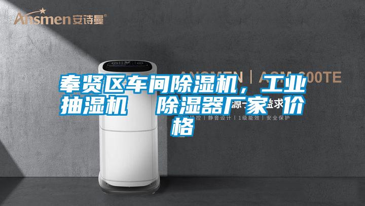 奉贤区车间草莓视频APP在线观看，工业抽湿机  除湿器厂家 价格