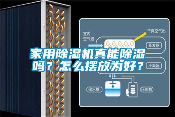家用草莓视频APP在线观看真能除湿吗？怎么摆放为好？