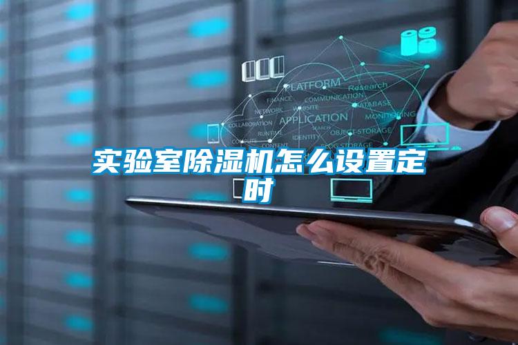 实验室草莓视频APP在线观看怎么设置定时