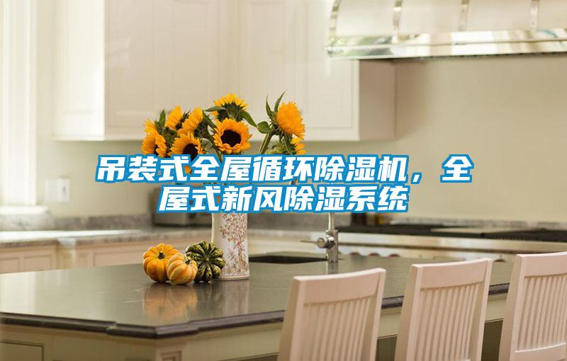 吊装式全屋循环草莓视频APP在线观看，全屋式新风除湿系统