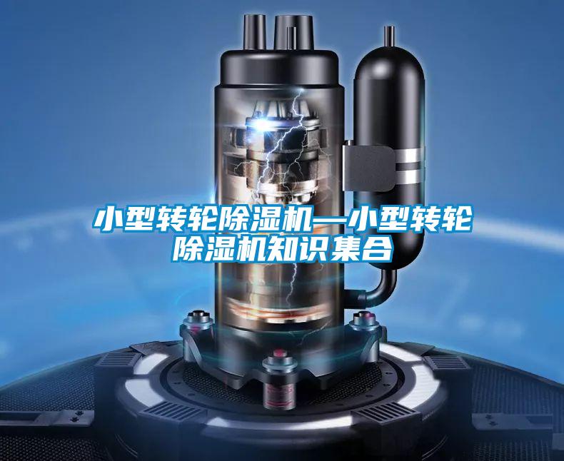 小型转轮草莓视频APP在线观看—小型转轮草莓视频APP在线观看知识集合