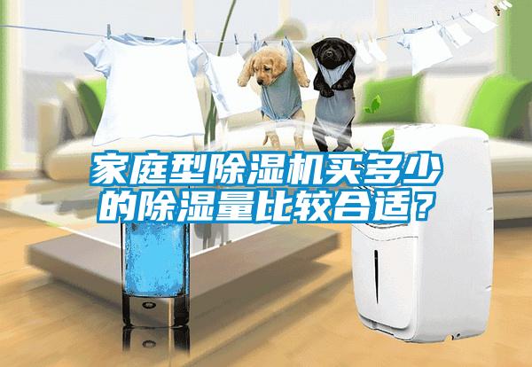 家庭型草莓视频APP在线观看买多少的除湿量比较合适？