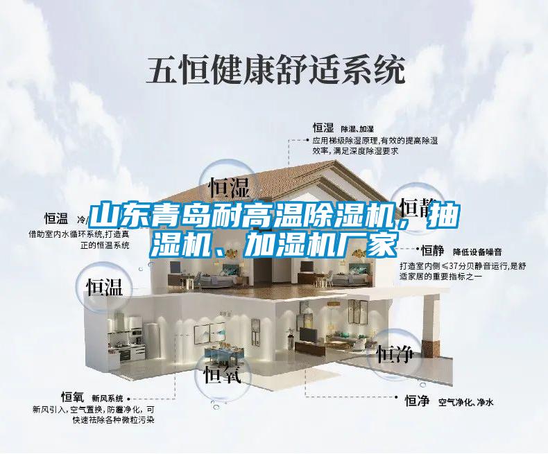 山东青岛耐高温草莓视频APP在线观看，抽湿机、加湿机厂家