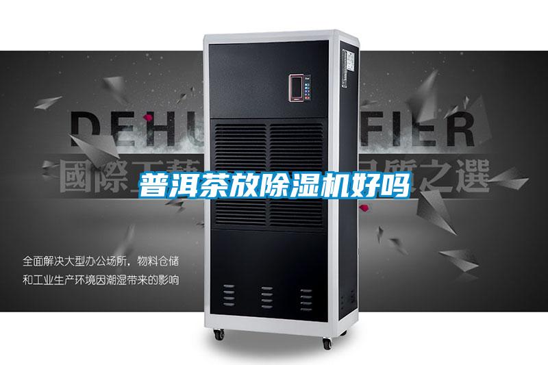 普洱茶放草莓视频APP在线观看好吗