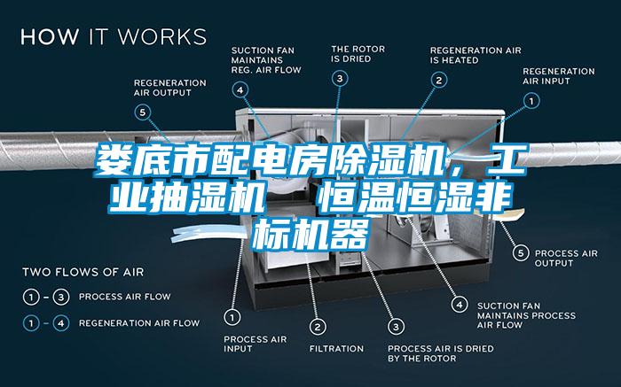 娄底市配电房草莓视频APP在线观看，工业抽湿机  恒温恒湿非标机器