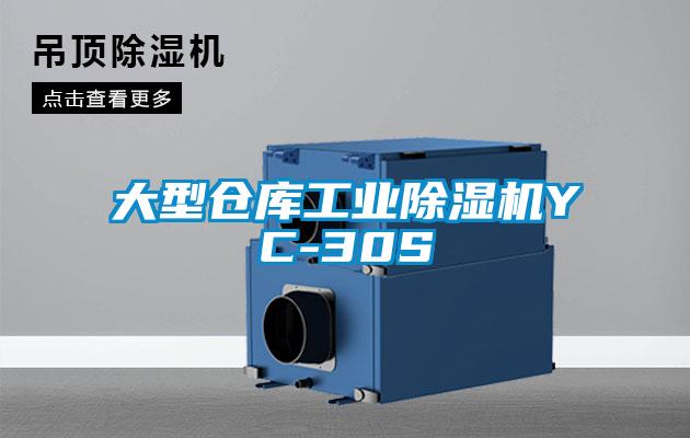 大型仓库工业草莓视频APP在线观看YC-30S