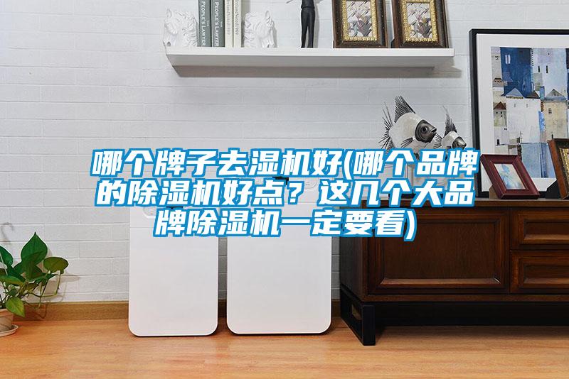 哪个牌子去湿机好(哪个品牌的草莓视频APP在线观看好点？这几个大品牌草莓视频APP在线观看一定要看)