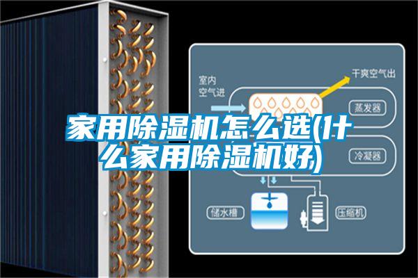 家用草莓视频APP在线观看怎么选(什么家用草莓视频APP在线观看好)