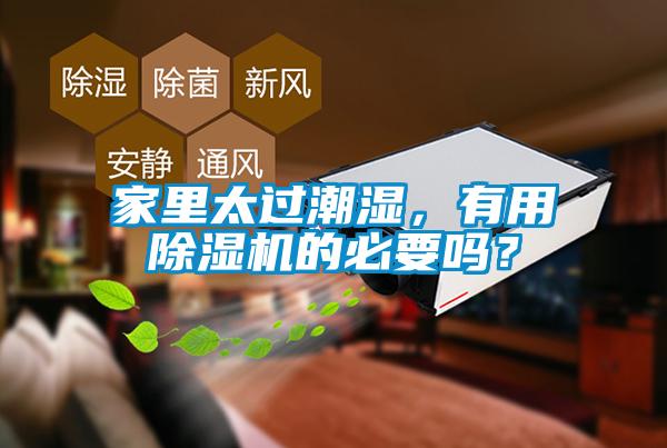 家里太过潮湿，有用草莓视频APP在线观看的必要吗？