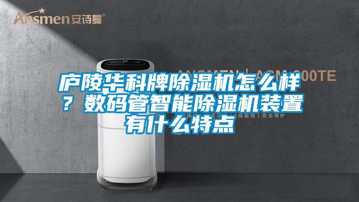 庐陵华科牌草莓视频APP在线观看怎么样？数码管智能草莓视频APP在线观看装置有什么特点