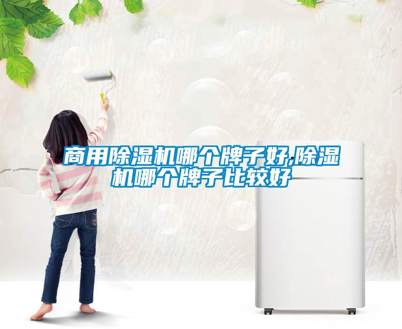 商用草莓视频APP在线观看哪个牌子好,草莓视频APP在线观看哪个牌子比较好