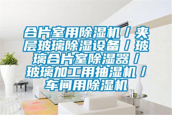 合片室用草莓视频APP在线观看／夹层玻璃除湿设备／玻璃合片室除湿器／玻璃加工用抽湿机／车间用草莓视频APP在线观看