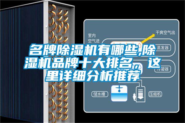 名牌草莓视频APP在线观看有哪些,草莓视频APP在线观看品牌十大排名，这里详细分析推荐