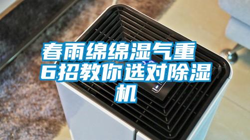春雨绵绵湿气重 6招教你选对草莓视频APP在线观看