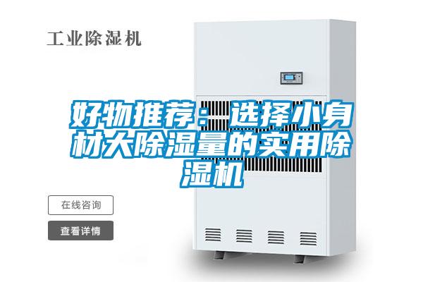 好物推荐：选择小身材大除湿量的实用草莓视频APP在线观看