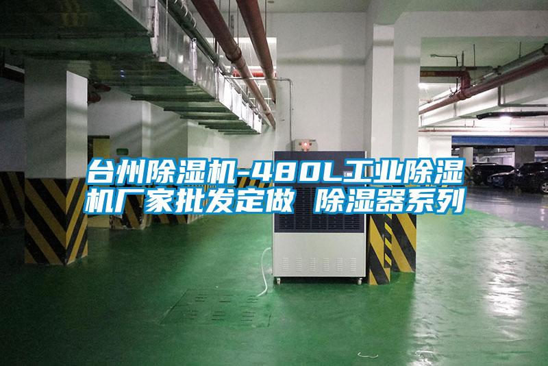 台州草莓视频APP在线观看-480L工业草莓视频APP在线观看厂家批发定做 除湿器系列