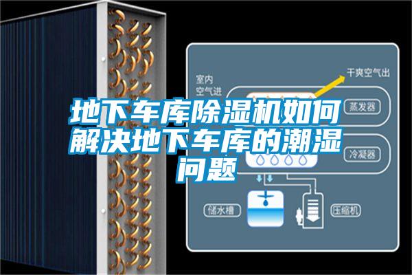 地下车库草莓视频APP在线观看如何解决地下车库的潮湿问题