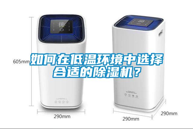 如何在低温环境中选择合适的草莓视频APP在线观看？