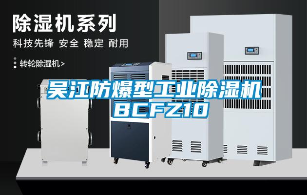 吴江防爆型工业草莓视频APP在线观看 BCFZ10