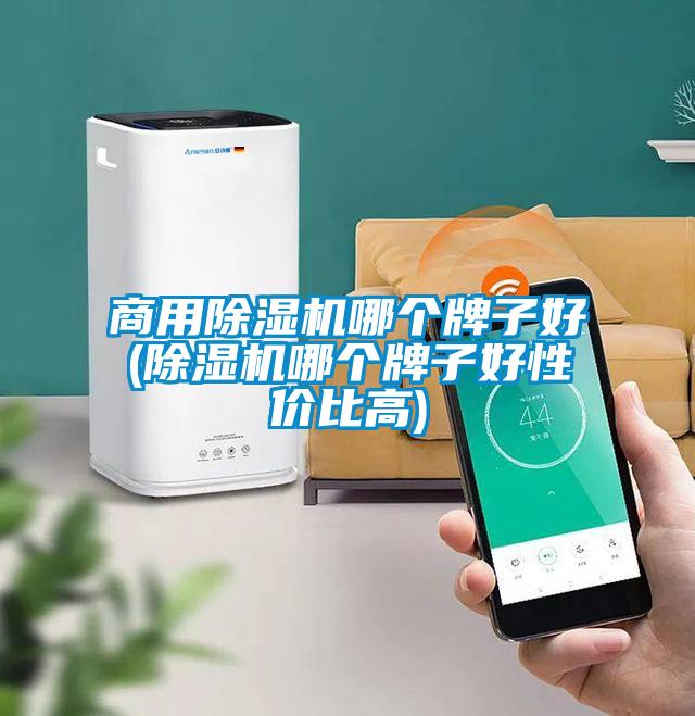 商用草莓视频APP在线观看哪个牌子好(草莓视频APP在线观看哪个牌子好性价比高)