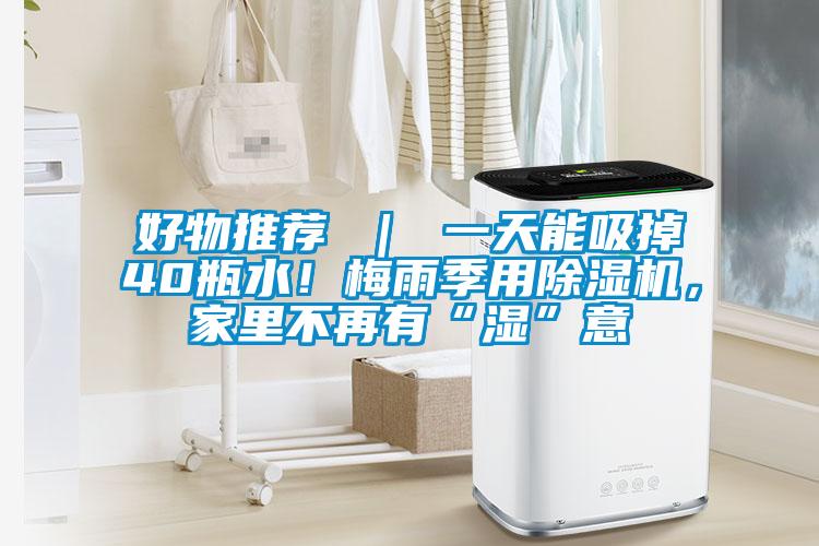 好物推荐 ｜ 一天能吸掉40瓶水！梅雨季用草莓视频APP在线观看，家里不再有“湿”意