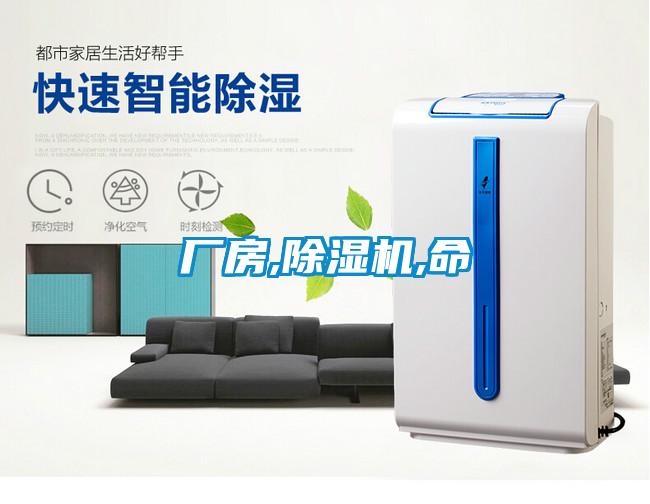 厂房,草莓视频APP在线观看,命