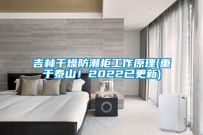 吉林干燥防潮柜工作原理(重于泰山！2022已更新)