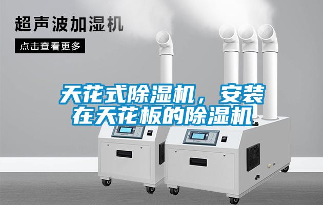 天花式草莓视频APP在线观看，安装在天花板的草莓视频APP在线观看