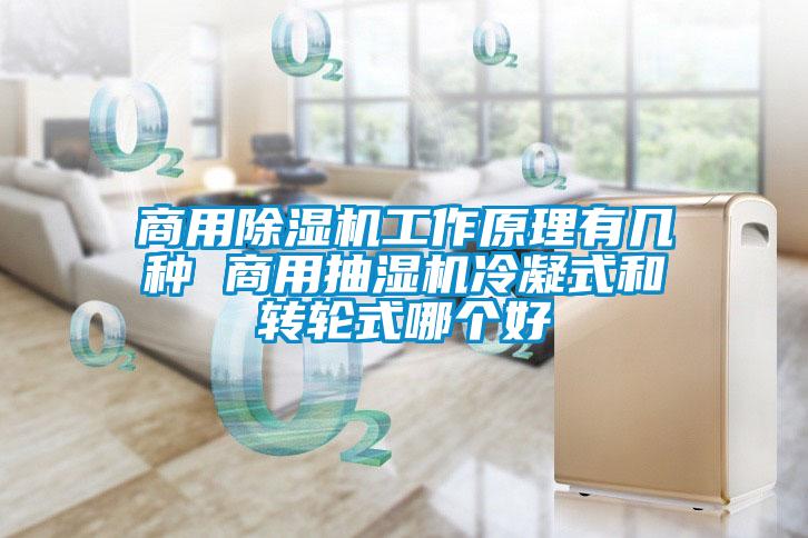商用草莓视频APP在线观看工作原理有几种 商用抽湿机冷凝式和转轮式哪个好